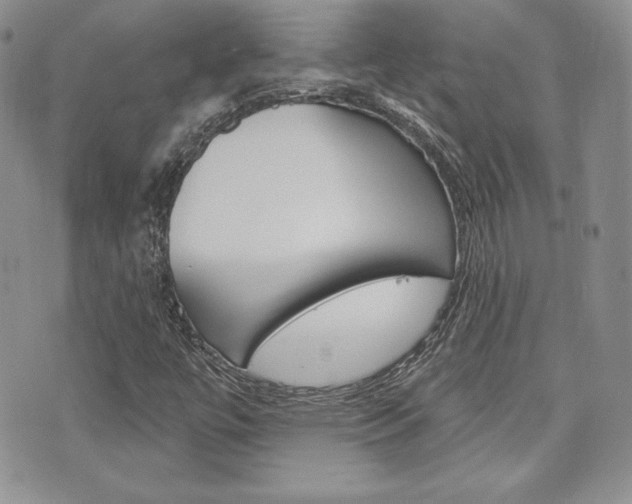 X0000073851447200608100951