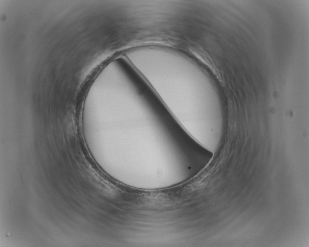 X0000073851452200608100951