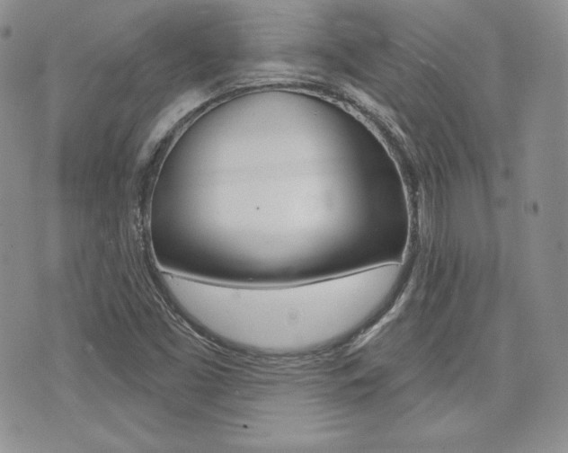X0000073851453200608100951