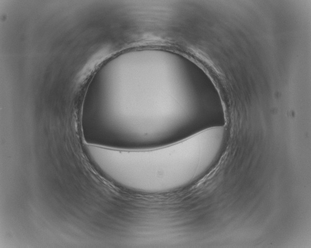 X0000073851455200608100950