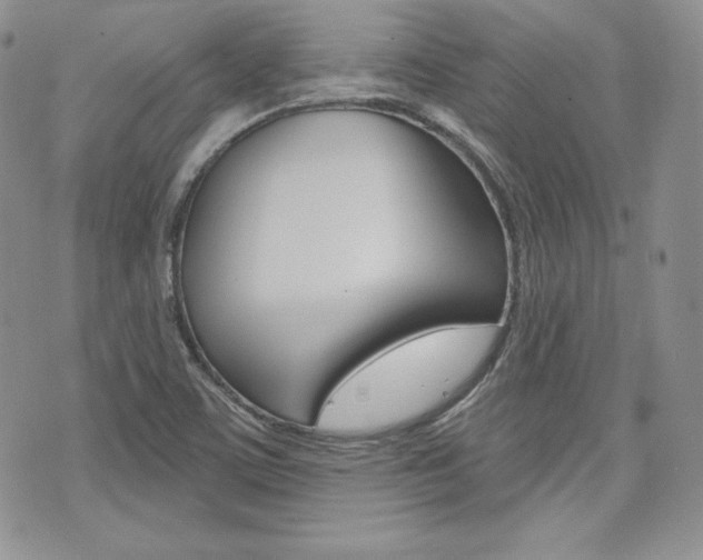 X0000073851459200608100950