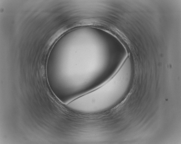X0000073851465200608100950