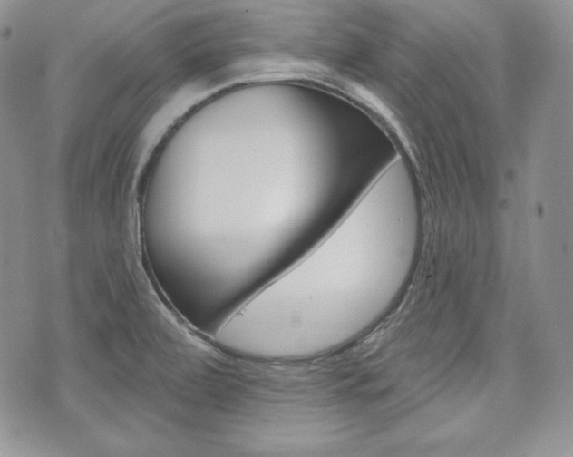 X0000073851472200608100950