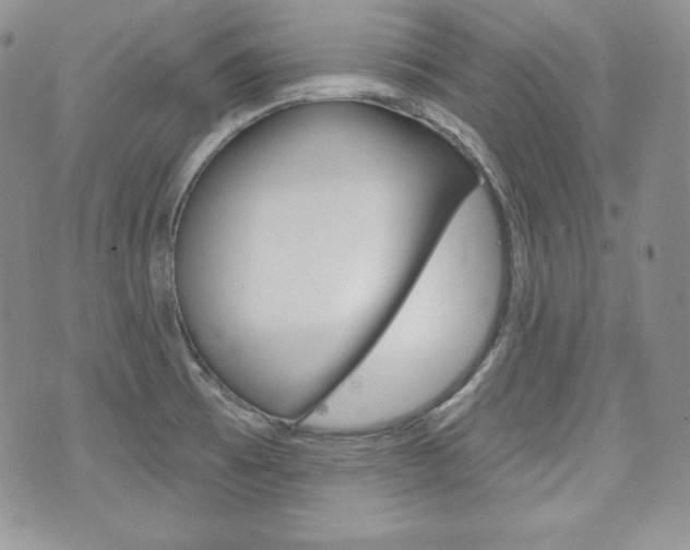 X0000073851473200608100950
