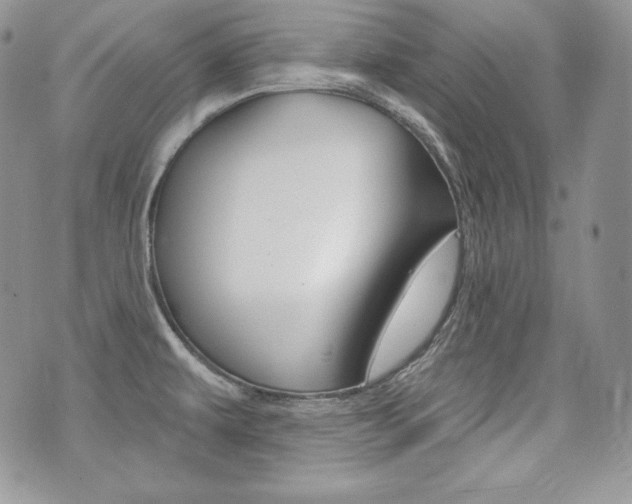 X0000073851479200608100950