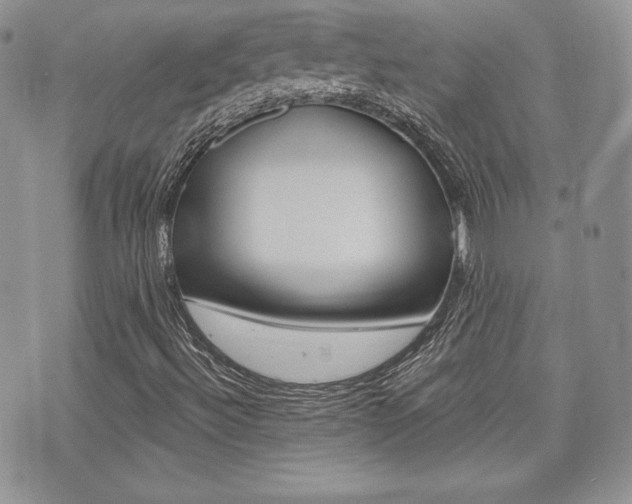 X0000073851492200608100949