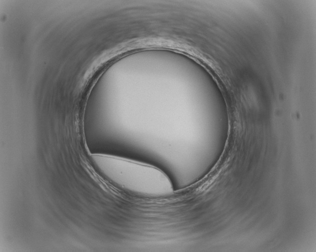 X0000073851499200608100949
