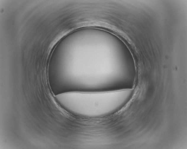 X0000073851513200608100950