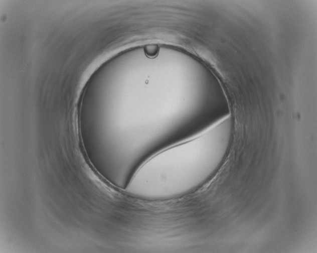 X0000073851516200608100950