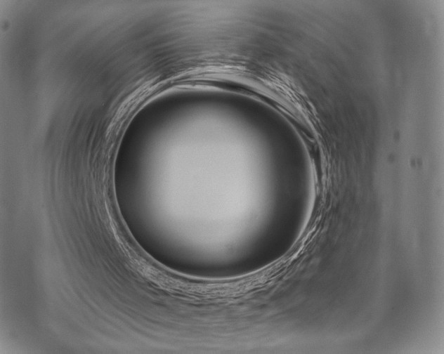 X0000073850001200608101237