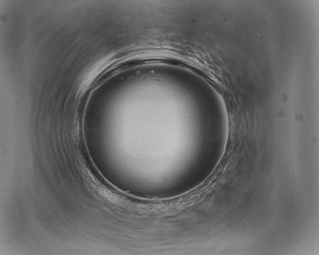 X0000073850005200608101237