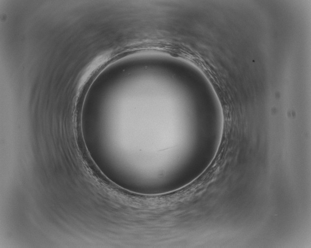 X0000073850006200608101237