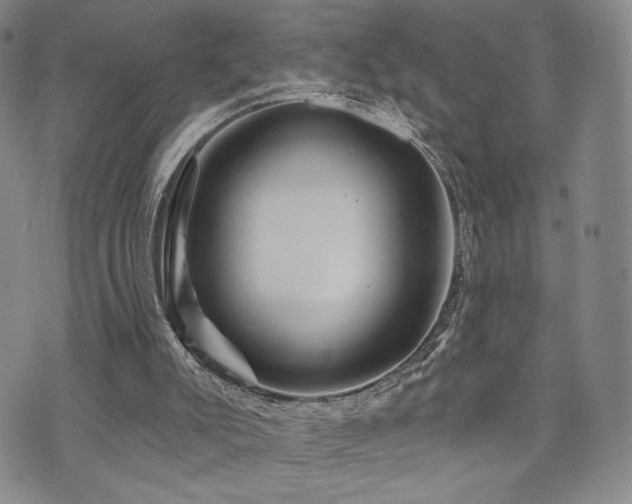 X0000073850007200608101237