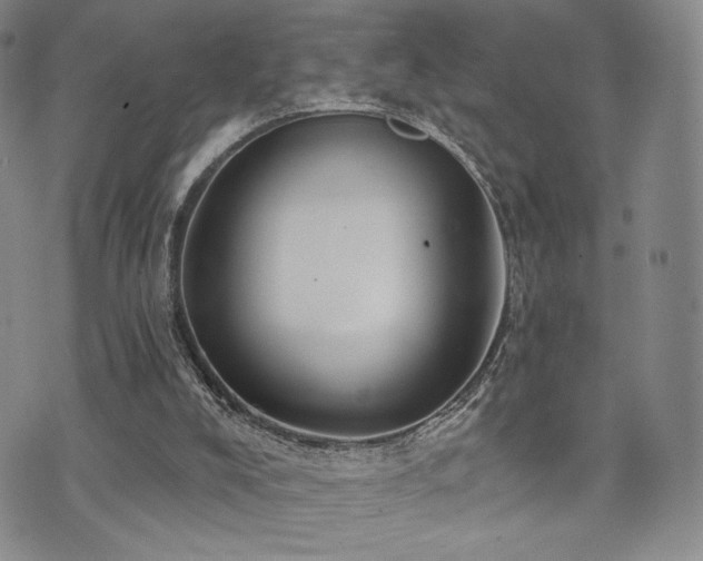 X0000073850008200608101237