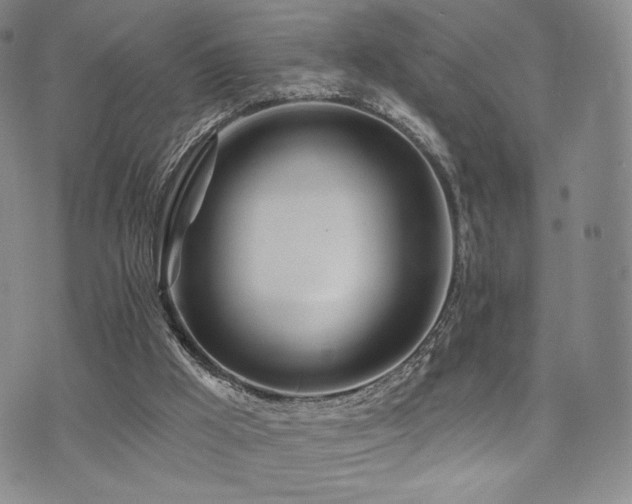 X0000073850009200608101237