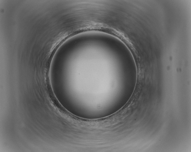 X0000073850010200608101237