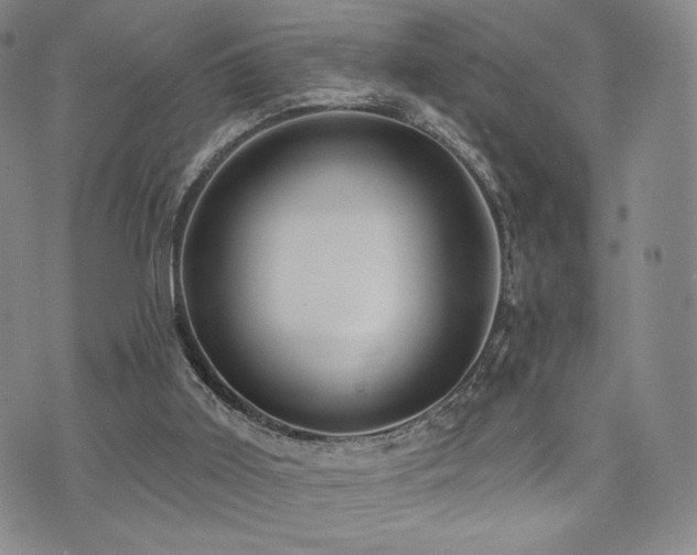 X0000073850011200608101237