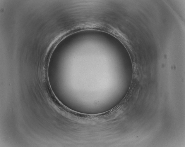 X0000073850012200608101237