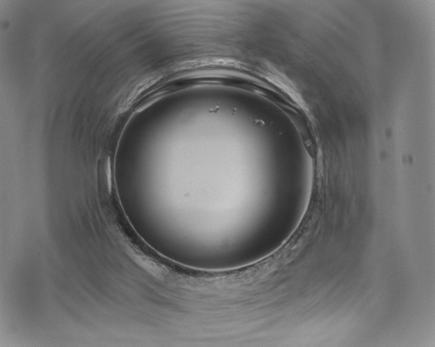 X0000073850013200608101237