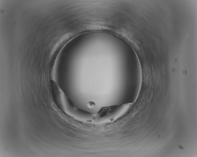 X0000073850015200608101237