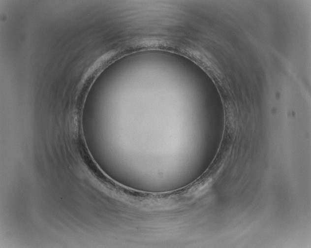 X0000073850016200608101237