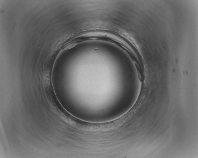 X0000073850017200608101237