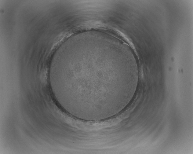 X0000073850018200608101237