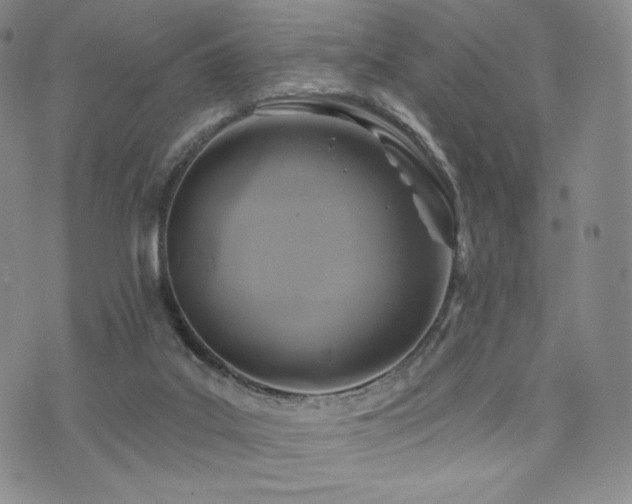 X0000073850019200608101237