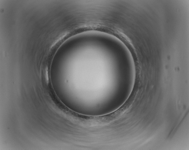 X0000073850020200608101237