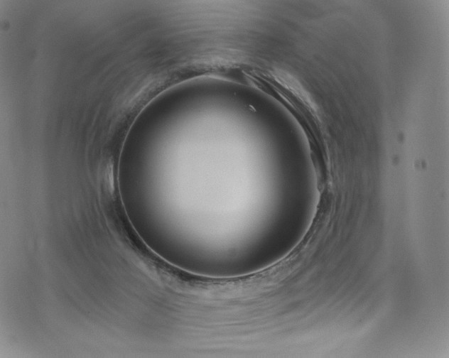 X0000073850021200608101236