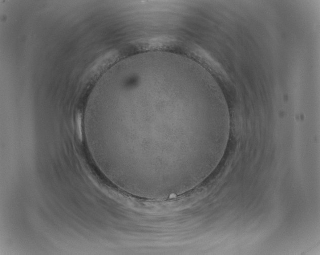 X0000073850022200608101236