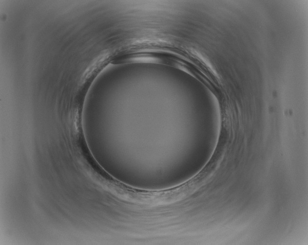 X0000073850023200608101236