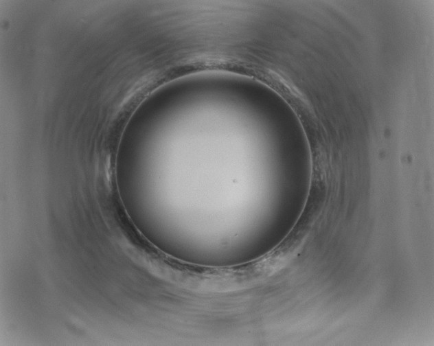 X0000073850024200608101236