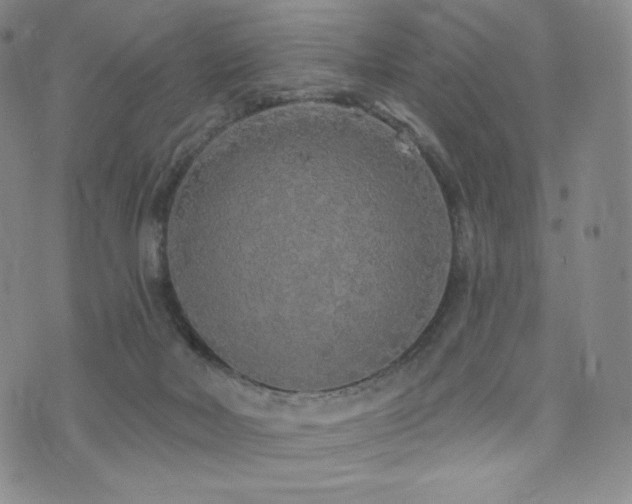 X0000073850026200608101236