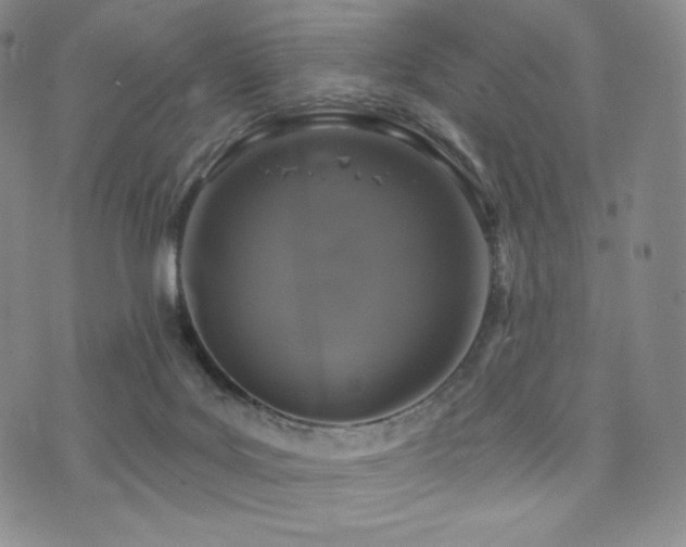 X0000073850027200608101236