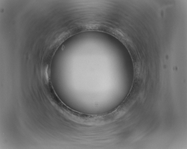 X0000073850028200608101236