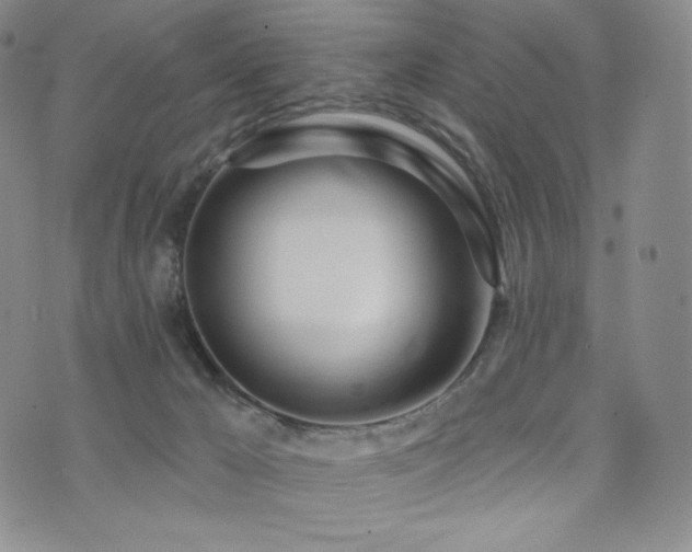 X0000073850029200608101236