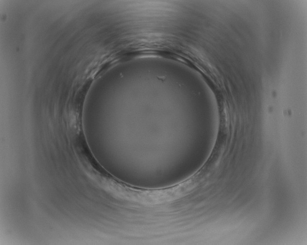 X0000073850031200608101236