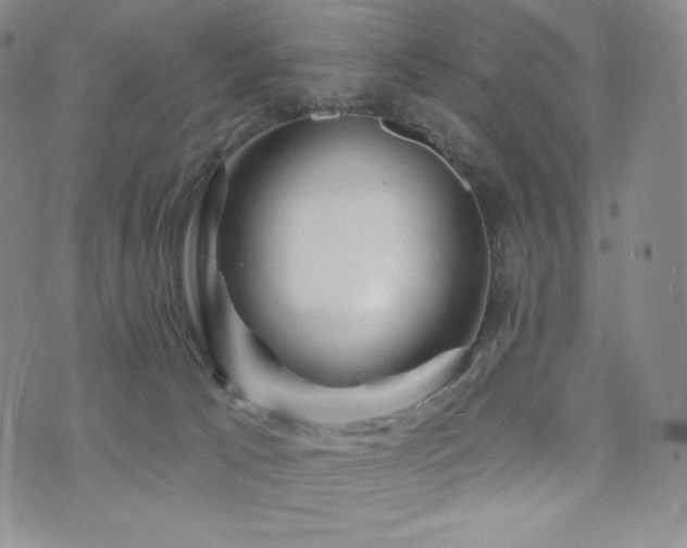 X0000073850033200608101236