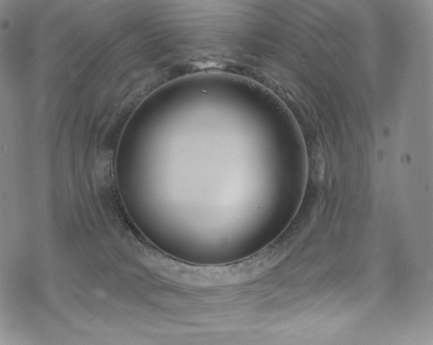 X0000073850034200608101236