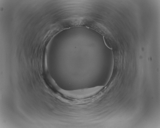 X0000073850035200608101236