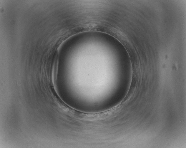 X0000073850037200608101236