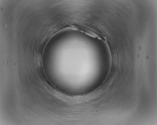 X0000073850038200608101236