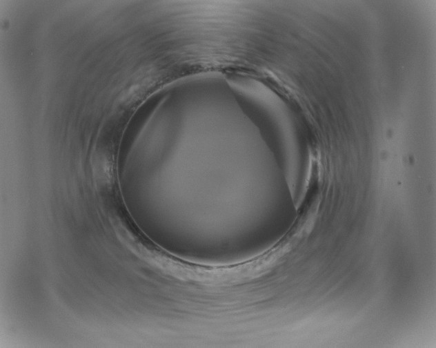 X0000073850039200608101236