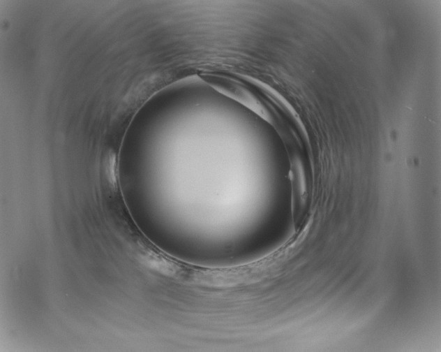 X0000073850041200608101236