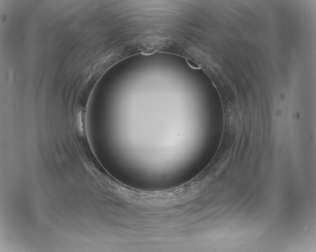 X0000073850042200608101236