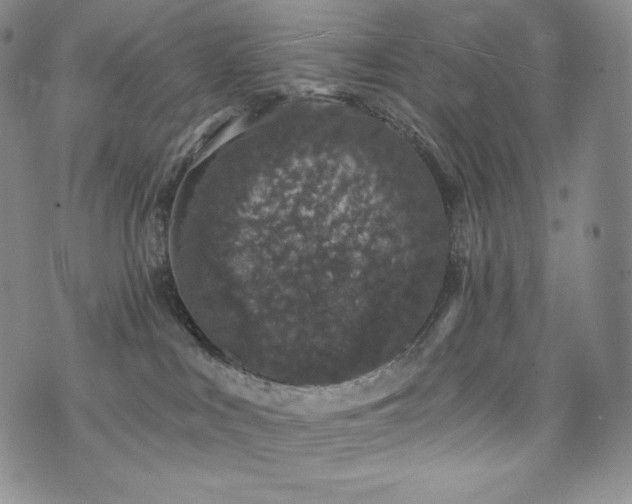 X0000073850043200608101236