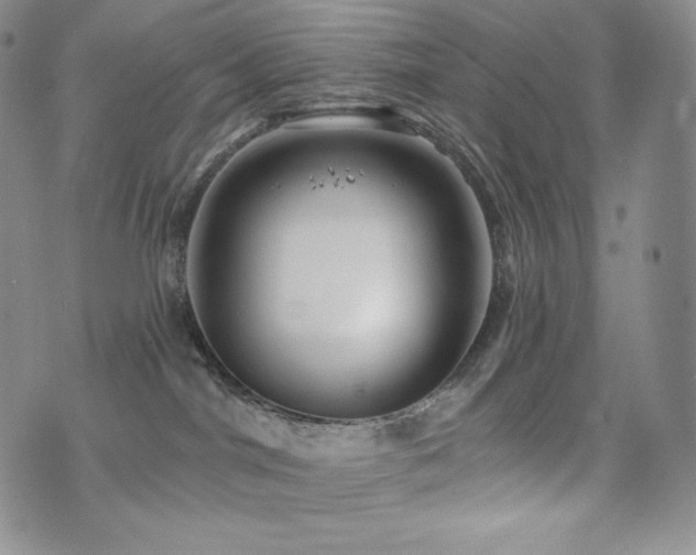 X0000073850044200608101236