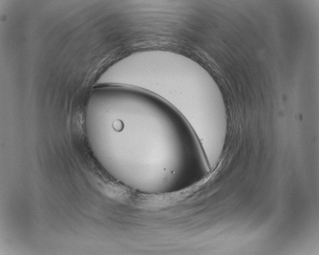 X0000073850045200608101236