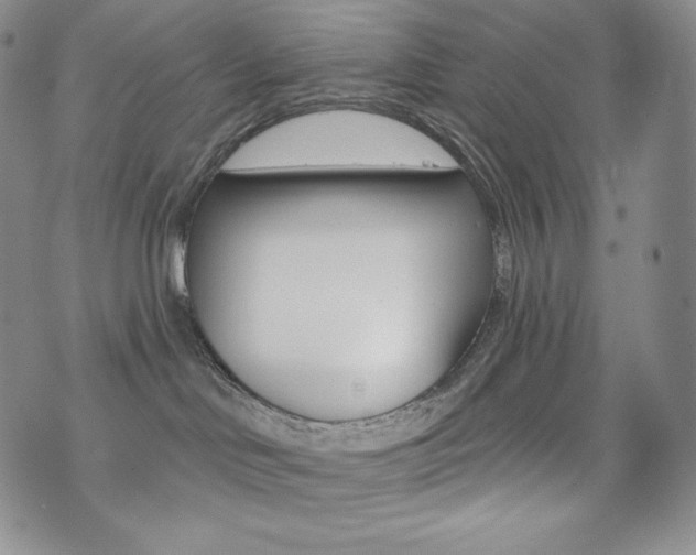 X0000073850046200608101236